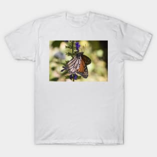 Monarchs of Mexico T-Shirt